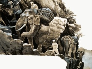 La travesía del elefante de Elephant Bill