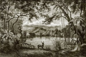 El lago encantado en la isla Filipina
