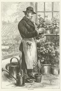 El florista de English School