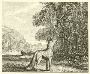 El zorro y las uvas (grabado) de English School