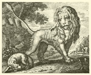 El zorro y el león (grabado) de English School