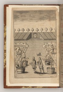 El frontispicio de The City Gardener de Thomas Fairchild de English School