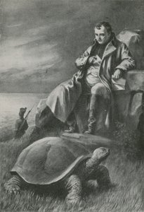 La tortuga gigante que vio a Napoleón de English School