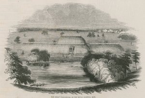 La gran Casa de las Palmas en los Jardines Reales, Kew, Londres de English School