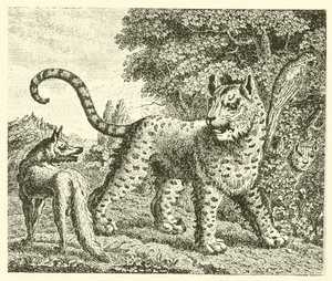 El leopardo y el zorro (grabado) de English School