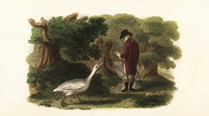 El ganso macho Jacquot y su amigo humano, un caballero francés de English School