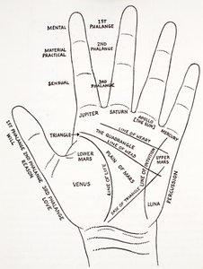 El monte aras de la mano de English School