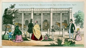 El nuevo edificio, bajo la terraza, construido para los leones, tigres y otros animales similares