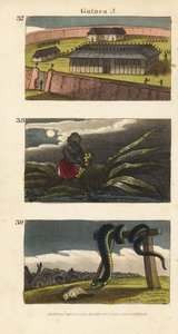 El palacio del Rey de Dahomey en Abomey, un hombre africano escondiendo un fetiche y personas de Whydah adorando una gran serpiente