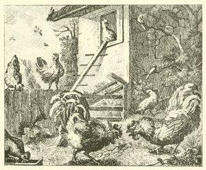 La perdiz y los gallos (grabado) de English School