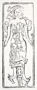 Las partes del cuerpo que controlan cada signo del zodiaco de English School