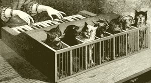 El piano de los gatos de English School