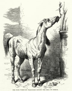 El pobre caballo de guerra agotado tocando la campana de la justicia de English School