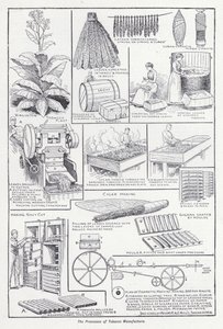 Los procesos de fabricación del tabaco de English School