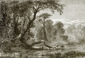 El río Fasis de English School