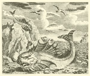 El atún y el delfín (grabado) de English School