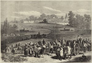 La vendimia en Medoc de English School