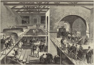La vendimia de Medoc