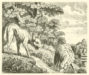 El lobo y el cordero (grabado) de English School