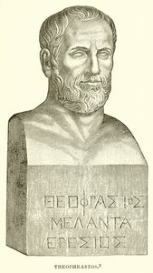 Teofrasto