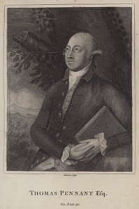 Thomas Pennant, naturalista y topógrafo galés (grabado) de English School