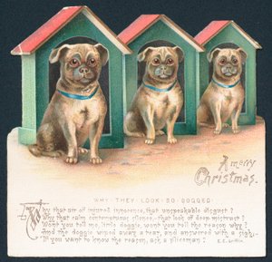 Tres perros en perreras