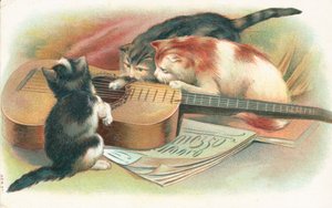 Tres gatos jugando con una guitarra acústica de English School