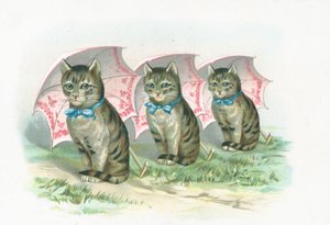 Tres gatos sentados en fila