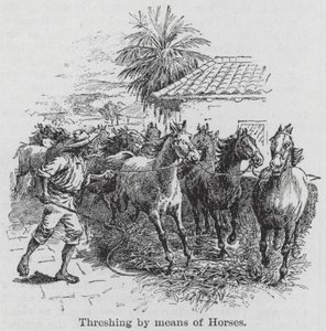 Trilla a caballo (grabado) de English School