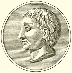 Tiberio Graco de English School