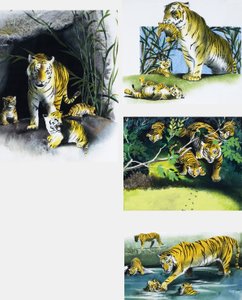 Tigre y cachorros