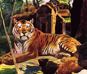 Tigre en las ruinas