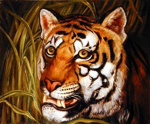 Tigre, tigre ardiendo brillante...