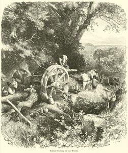 Corte de madera en el bosque de English School