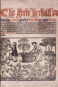 Página de título ilustrando una escena de jardín con figuras, 1529 de English School