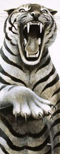 Dientes y garras