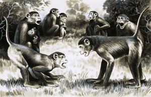 Diente y garra: tropas de monos