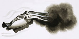 Diente y garra: Armas de guerra. Sepia