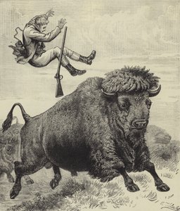 Arrojado por un toro de la pradera de English School