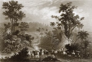 Viajes en Brasil de English School