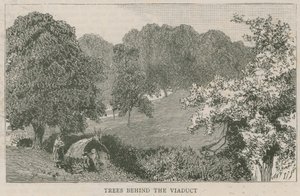 Árboles detrás del viaducto de English School