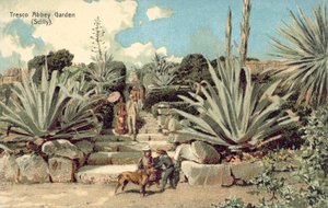 Jardín de la Abadía de Tresco, Islas Sorlingas, Cornualles (litografía en color)