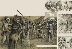 Tribus de Nueva Guinea de English School