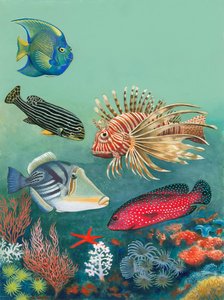 Peces tropicales