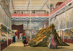 Túnez, No 1, Gran Exposición, 1851