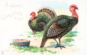 Pavos