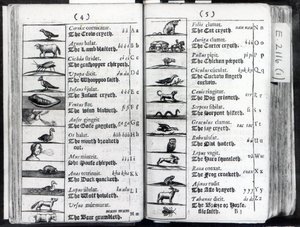 Dos páginas de Orbis Sensualium Pictus por Comenius, 1659 de English School