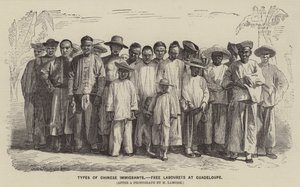 Tipos de Inmigrantes Chinos, Trabajadores Libres en Guadalupe