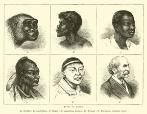 Tipos de cabezas de English School