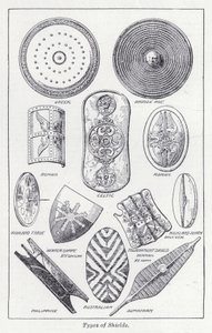 Tipos de escudos de English School